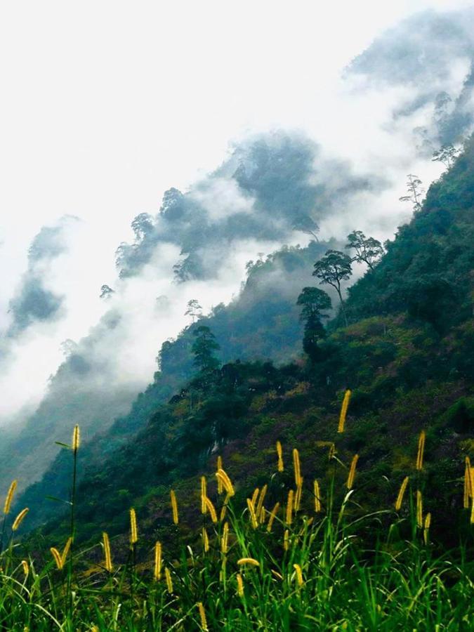 Diem Dung Chan Can Ty Ha Giang Exterior foto